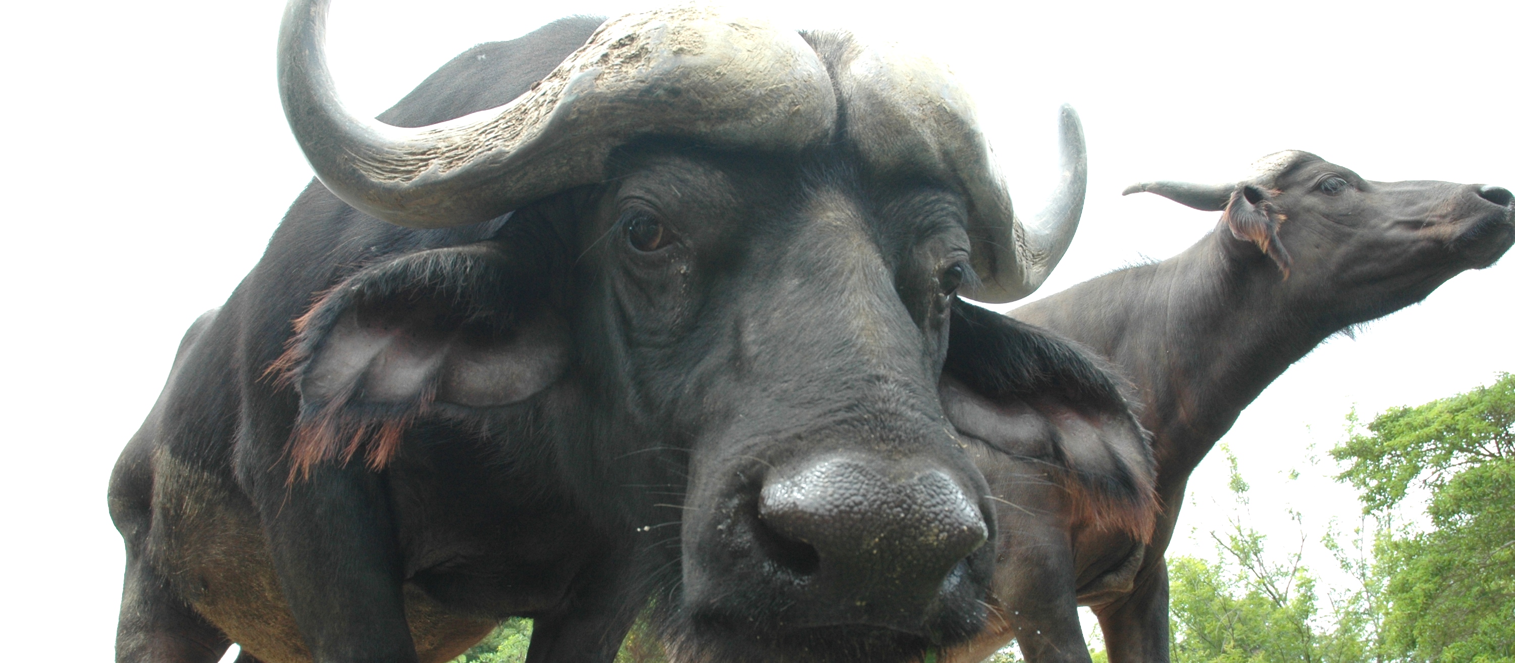 2019秋ver_アフスイ