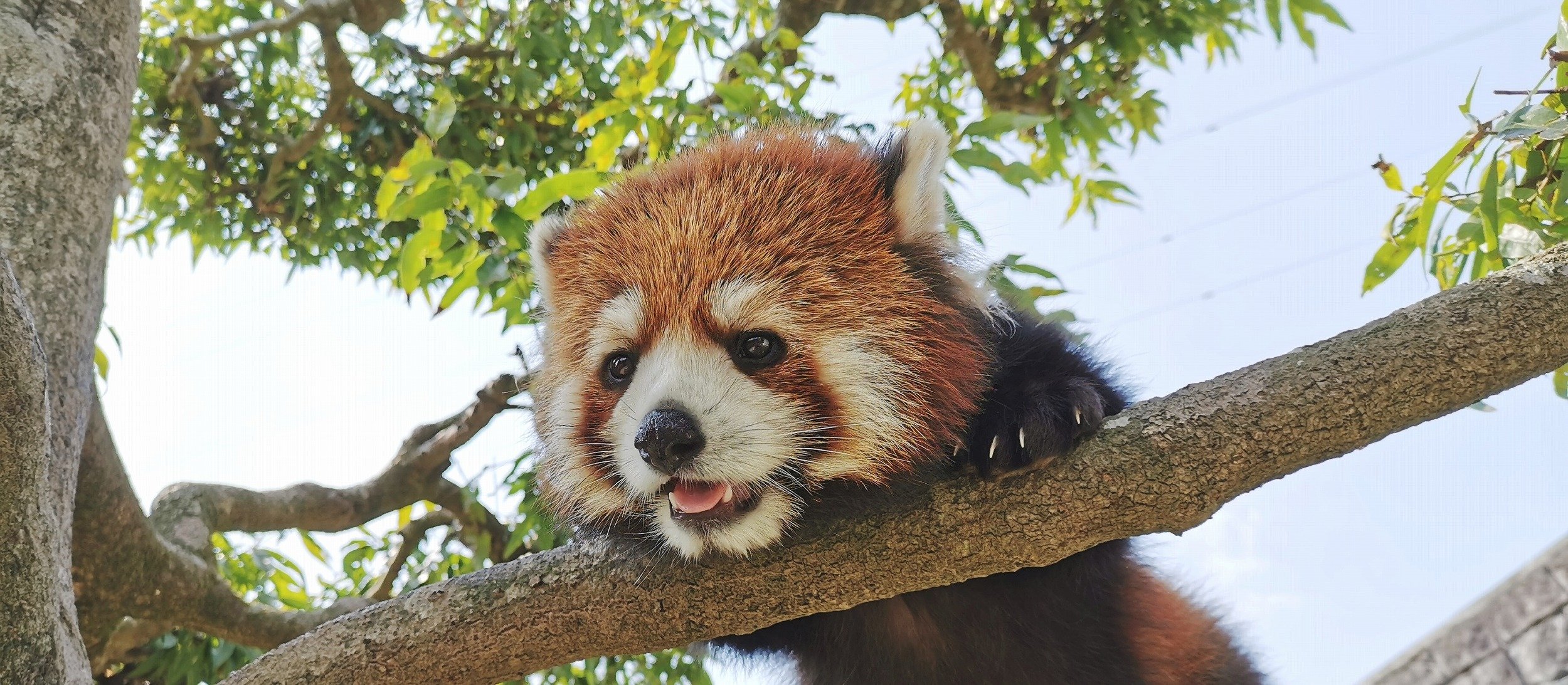 安佐動物公園 Asazoo