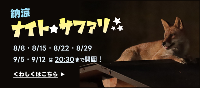 2026ナイトサファリ