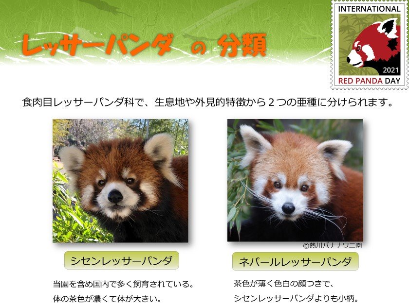 http://www.asazoo.jp/animal/blog/71b714fe65cc4749ee0cb0e282c78aaa99093189.jpg