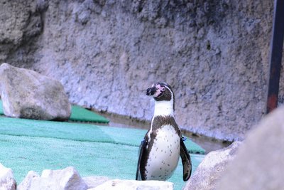 20250509_007ブランカ.jpg
