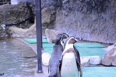 20250509_006おもち.jpg