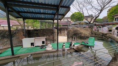 20250509_004位置.jpg
