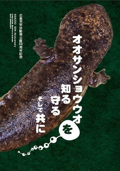 50周年記念誌「オオサンショウウオを知る 守る そして共に」ができました！!