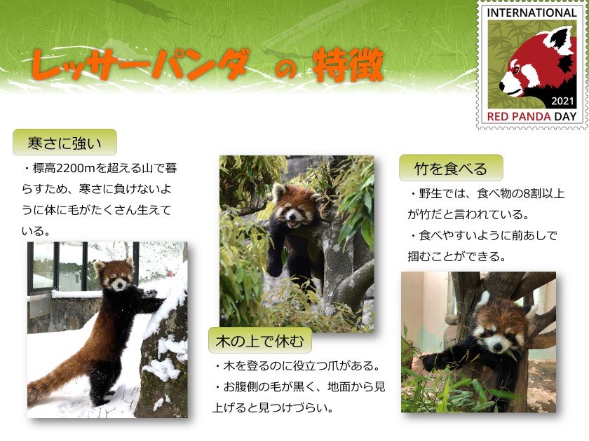 http://www.asazoo.jp/animal/blog/e2c612e8650e990083eb887a1312cb8557aa13e0.jpg