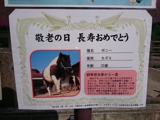 http://www.asazoo.jp/animal/blog/s-DSC_1004.jpg