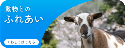 HP_どうぶつとのふれあい