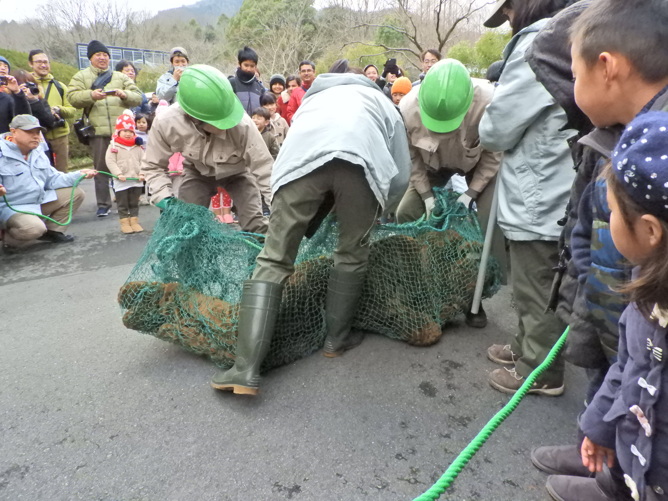 公開動物脱出対策訓練を開催！（1/28）