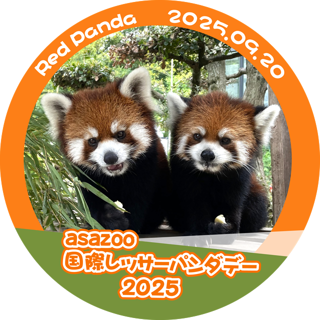 「国際レッサーパンダデー」イベントを開催！（9/20）