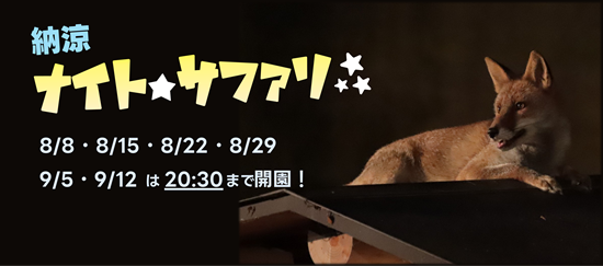 s-R8_ナイトサファリバナー.PNG