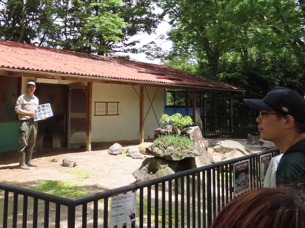 20260518_カメの日 (1).jpg