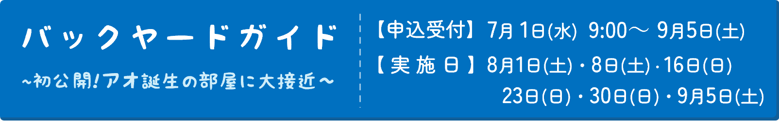 Button_バックヤードガイド02.png