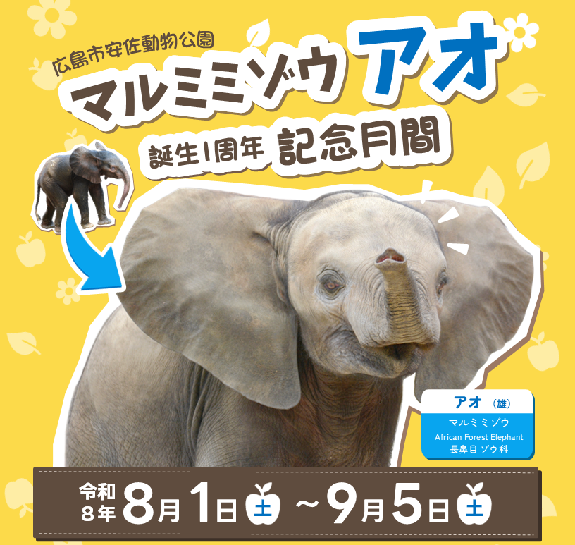 スライド1_上部トリミング.PNG