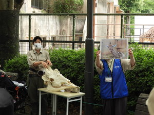 DSCN8885.JPG