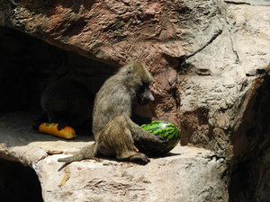 DSCN9162.JPG