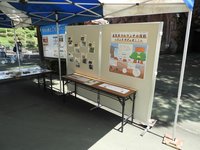 20240624_どうぶつウンチ研究室  (1).jpg