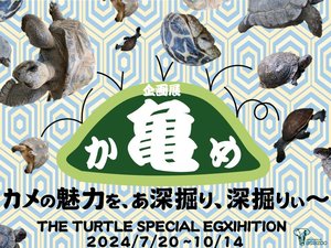 タイトルA面用.jpg
