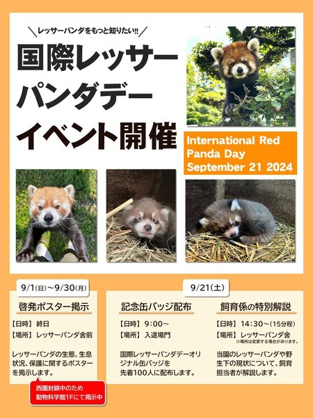 pandaday_pos.JPG