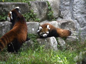 _DSC3152_修正_R.JPG