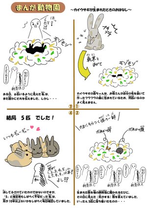 まんがZOO2025_カイウサギ_橘高.jpg