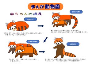 まんが動物園(坪田パンダ)R6.jpg