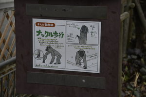 20240202_まんが動物園漫画掲示 (14).JPG