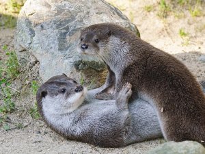 IMG_4880.jpg