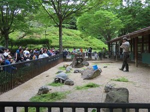 s-IMG_0961.jpg