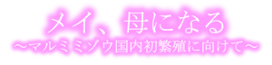 メイ、母になる.png