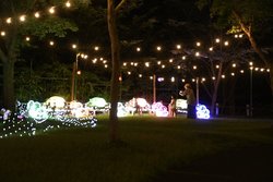 20250804_夜間開園 (4).jpg