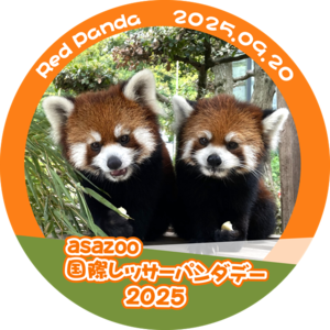 20250917_国際レッサーパンダデー.png