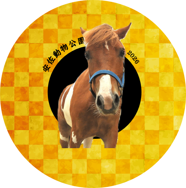 新年は1月2日から開園　お正月！記念缶バッジをプレゼント（1/2、3）