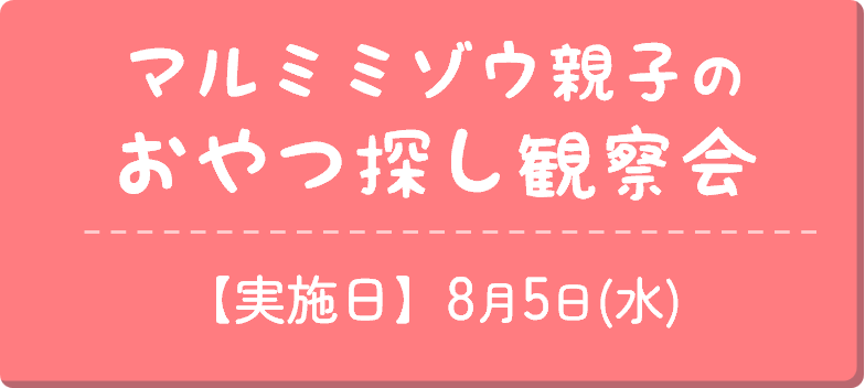 Button_おやつ探し観察会.png