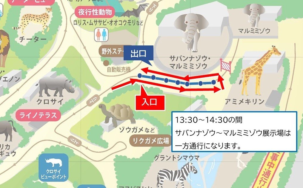 R7_マルミミゾウ展示_折り返し図.jpg