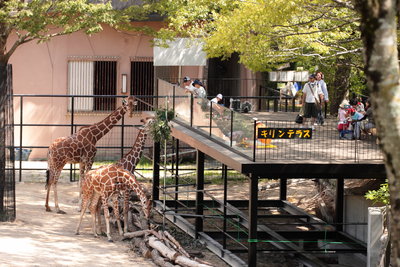 キリンテラス-20110807 (1).JPGのサムネイル画像