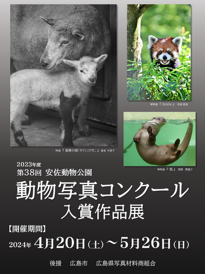 動物写真コンクールA型看板.png