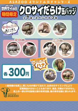 20240906_クロサイ_ガチャ.png
