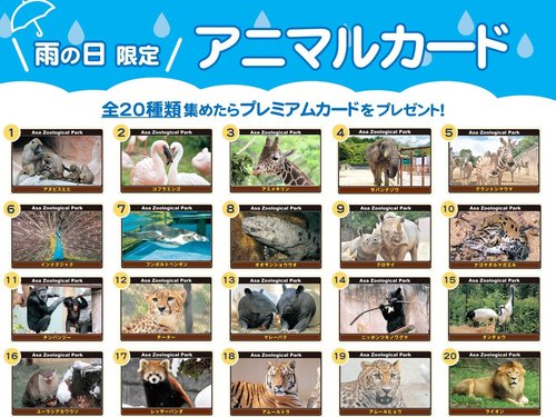 20240328_配布コーナー看板（サバンナゾウ）_20241022.jpg
