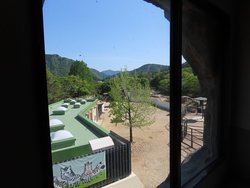 s-20250505_ヒヒヤマからサバンナ (2).jpg
