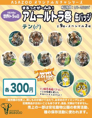 20250701_ガチャガチャ台紙トラ.jpg