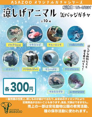 20250701_ガチャガチャ台紙納涼.jpg