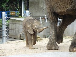 ②s-20250910 (1).jpg