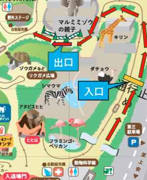 団体向けマルミミゾウ見学ルート.png