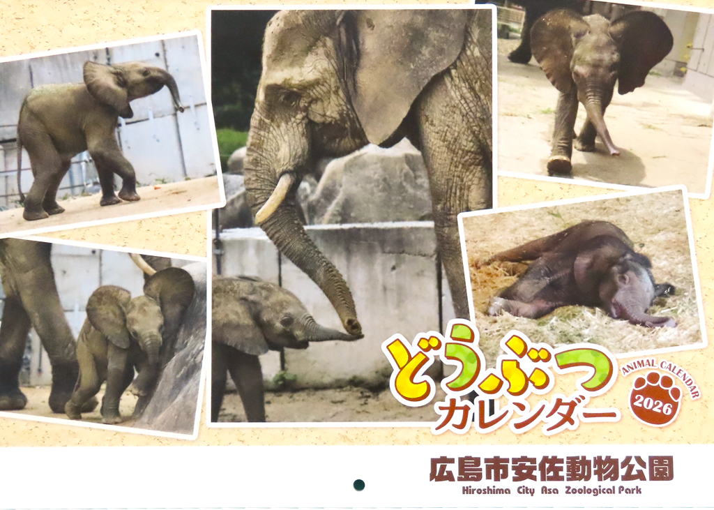 安佐動物公園と植物公園の「2026年オリジナルカレンダー」発売！（11