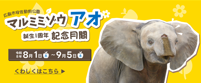 2026アオ