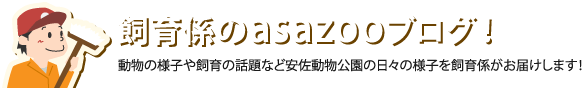 飼育係のasazooブログ！　動物の様子や飼育の話題など安佐動物公園の日々の様子を飼育係がお届けします！