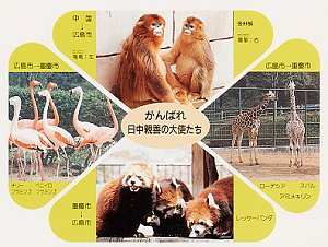 重慶市との動物交流