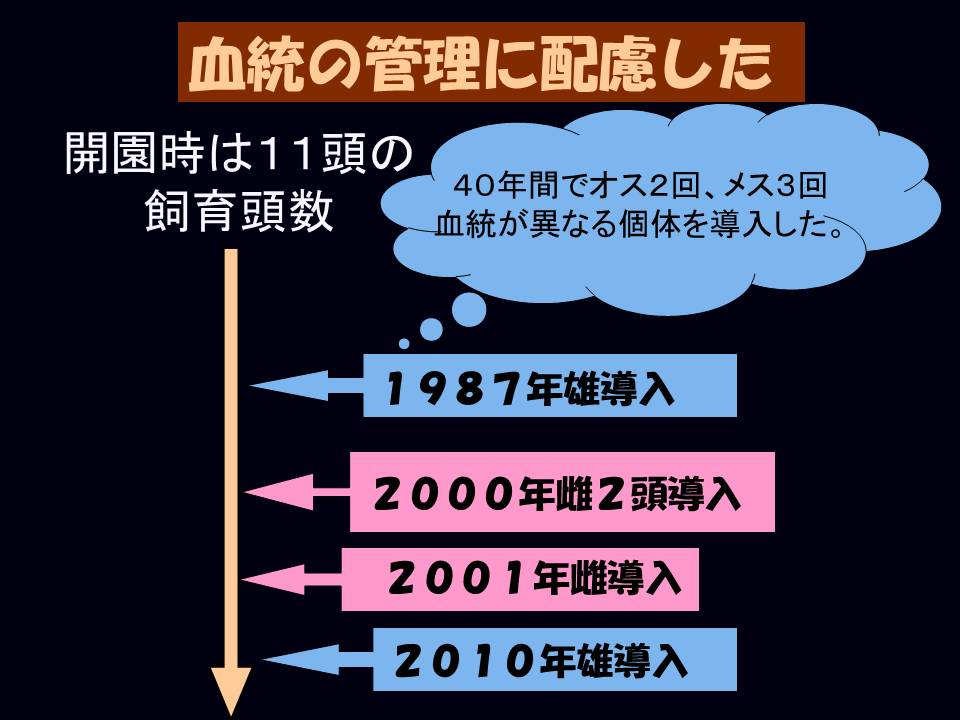 [画像]血統の管理に配慮した