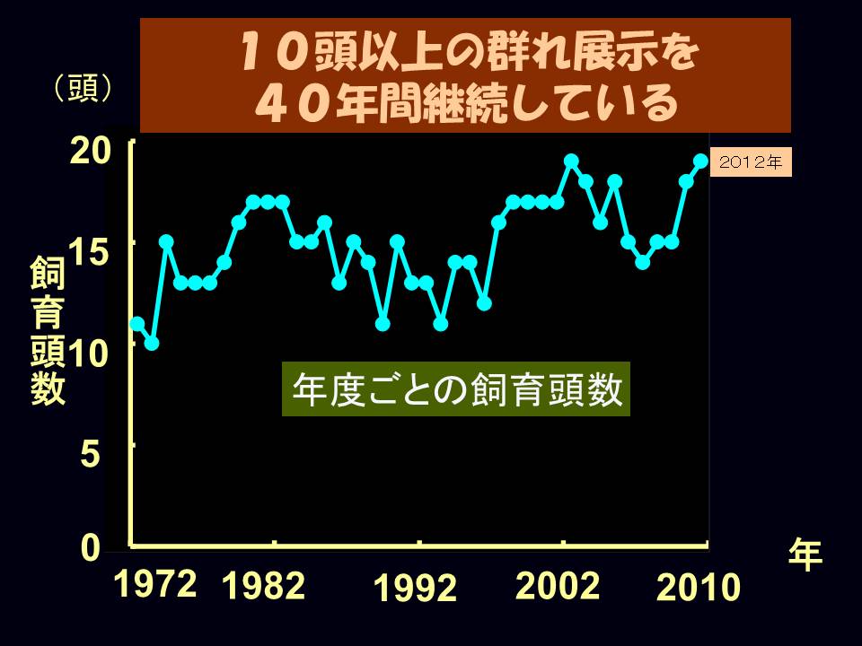 [画像]10頭以上の群れ展示を40年間継続している