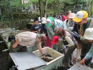 バックヤード見学